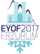 Erzurum - 2017
